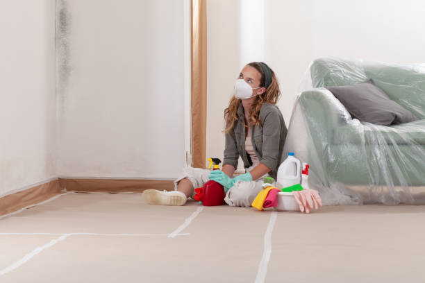 Reliable Mold Testing contractor in Denver, NC by WQB Mold Removal