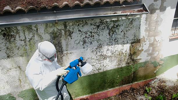 Top rated local Mold Testing specialists in Denver, NC